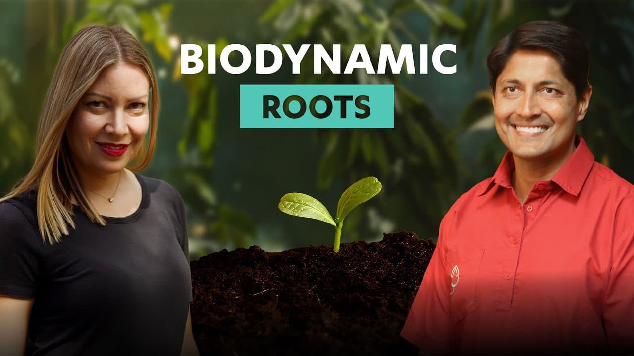 Biodynamic Roots to Eco-Friendly Solutions with Sigrid Svedberg