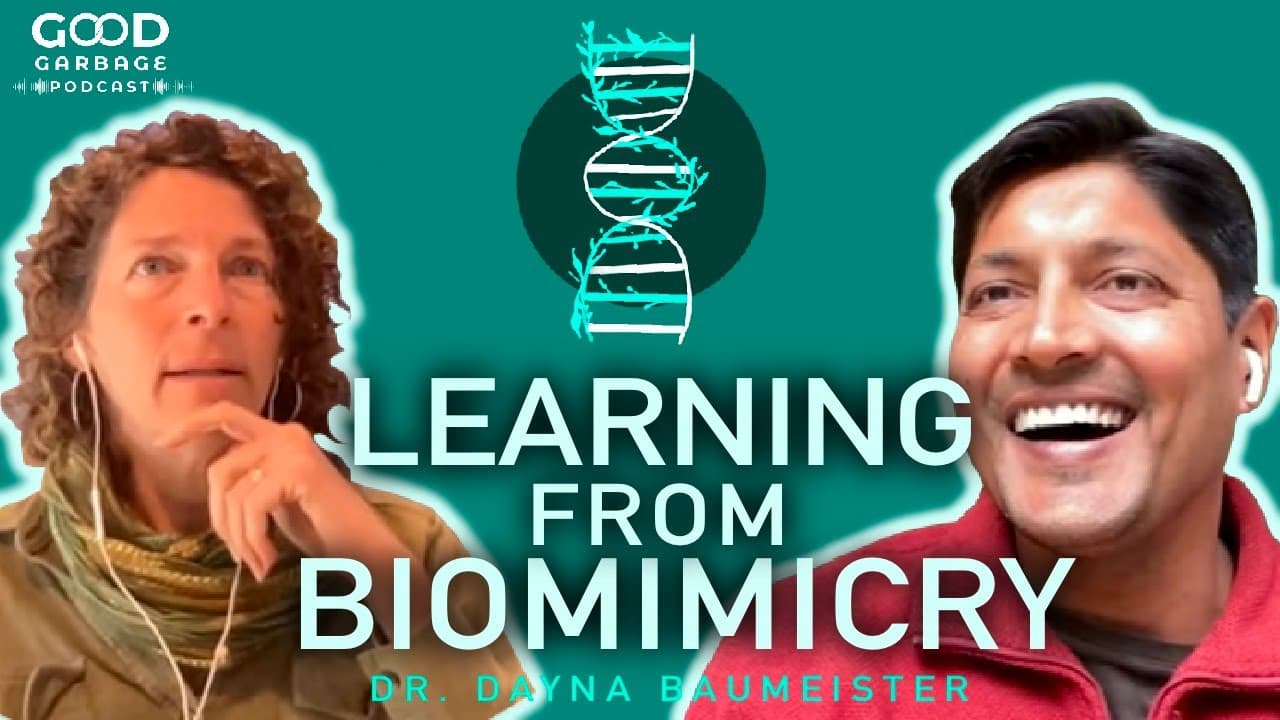 Biomimicry and System Intervention with Dr. Dayna Baumeister